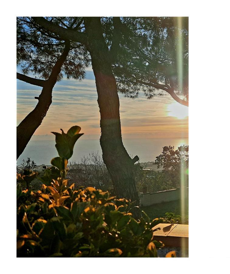 B&B Ioli Vesuvio Ерколано Екстер'єр фото