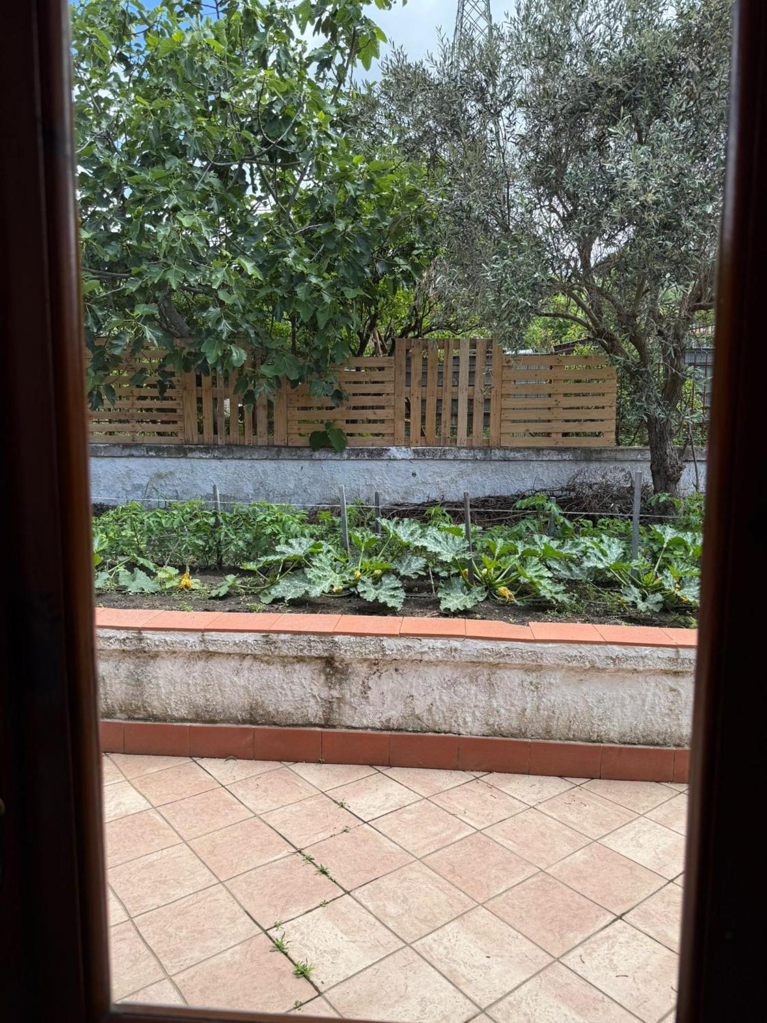 B&B Ioli Vesuvio Ерколано Екстер'єр фото
