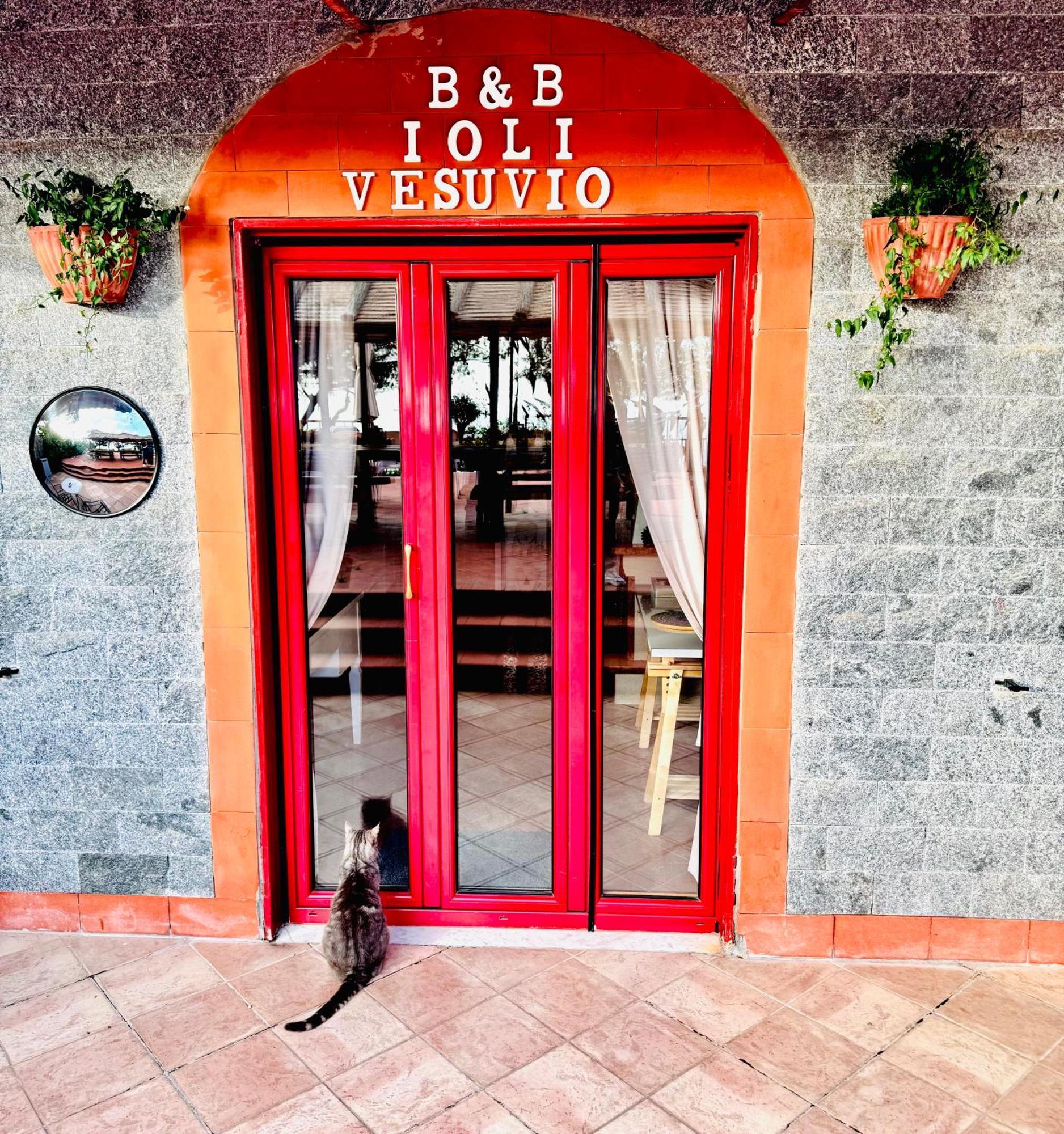 B&B Ioli Vesuvio Ерколано Екстер'єр фото